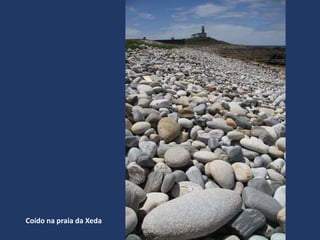 Coído na praia da Xeda
 
