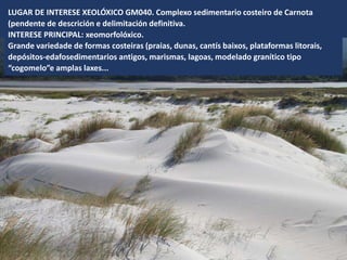 LUGAR DE INTERESE XEOLÓXICO GM040. Complexo sedimentario costeiro de Carnota
(pendente de descrición e delimitación definitiva.
INTERESE PRINCIPAL: xeomorfolóxico.
Grande variedade de formas costeiras (praias, dunas, cantís baixos, plataformas litorais,
depósitos-edafosedimentarios antigos, marismas, lagoas, modelado granítico tipo
“cogomelo”e amplas laxes...
 