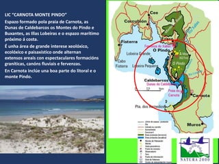 LIC “CARNOTA MONTE PINDO”
Espazo formado pola praia de Carnota, as
Dunas de Caldebarcos os Montes do Pindo e
Buxantes, as Illas Lobeiras e o espazo marítimo
próximo á costa.
É unha área de grande interese xeolóxico,
ecolóxico e paisaxístico onde alternan
extensos areais con espectaculares formacións
graníticas, canóns fluviais e fervenzas.
En Carnota inclúe una boa parte do litoral e o
monte Pindo.
 