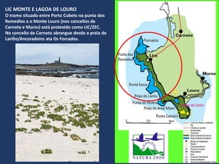 LIC MONTE E LAGOA DE LOURO
O tramo situado entre Porto Cubelo na punta dos
Remedios e o Monte Louro (nos concellos de
Carnota e Muros) está protexido como LIC/ZEC.
No concello de Carnota abrangue desde a praia de
Lariño/Ancoradoiro ata Os Forcados.
 