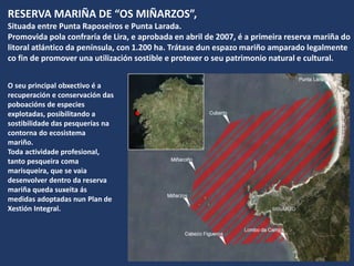 O seu principal obxectivo é a
recuperación e conservación das
poboacións de especies
explotadas, posibilitando a
sostibilidade das pesquerías na
contorna do ecosistema
mariño.
Toda actividade profesional,
tanto pesqueira coma
marisqueira, que se vaia
desenvolver dentro da reserva
mariña queda suxeita ás
medidas adoptadas nun Plan de
Xestión Integral.
RESERVA MARIÑA DE “OS MIÑARZOS”,
Situada entre Punta Raposeiros e Punta Larada.
Promovida pola confraría de Lira, e aprobada en abril de 2007, é a primeira reserva mariña do
litoral atlántico da península, con 1.200 ha. Trátase dun espazo mariño amparado legalmente
co fin de promover una utilización sostible e protexer o seu patrimonio natural e cultural.
 