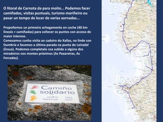 O litoral de Carnota da para moito... Podemos facer
camiñadas, visitas puntuais, turismo mariñeiro ou
pasar un tempo de lecer de varias xornadas...
Propoñemos un primeiro achegamento en coche (40 km
lineais + camiñadas) para coñecer os puntos con acceso de
maior interese.
Comezamos cunha visita ao cadoiro do Xallas, no linde con
Dumbría e facemos a última parada na punta do Leiradal
(Ínsua). Podemos completalo coa subida a algúns dos
miradoiros nos montes próximos (As Paxareiras, As
Forcadas).
 