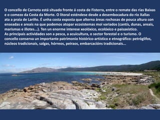 O concello de Carnota está situado fronte á costa de Fisterra, entre o remate das rías Baixas
e o comezo da Costa da Morte. O litoral esténdese desde a desembocadura do río Xallas
ata a praia de Lariño. É unha costa exposta que alterna áreas rochosas de pouca altura con
enseadas e areais na que podemos atopar ecosistemas moi variados (cantís, dunas, areais,
marismas e illotes...). Ten un enorme interese xeolóxico, ecolóxico e paisaxístico.
As principais actividades son a pesca, a acuicultura, o sector forestal e o turismo. O
concello conserva un importante patrimonio histórico-artístico e etnográfico: petróglifos,
núcleos tradicionais, salgas, hórreos, peiraos, embarcacións tradicionais...
 