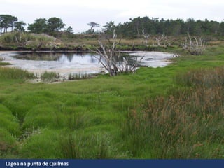 Lagoa na punta de Quilmas
 