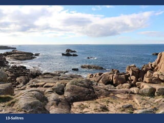 13-Salitres
 