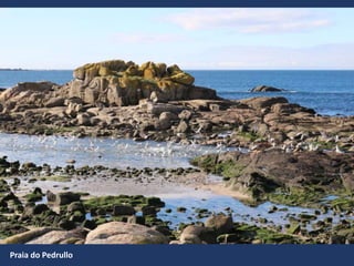 Praia do Pedrullo
 
