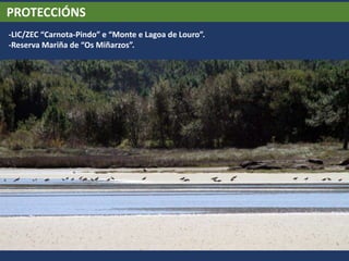 PROTECCIÓNS
-LIC/ZEC “Carnota-Pindo” e “Monte e Lagoa de Louro”.
-Reserva Mariña de “Os Miñarzos”.
 