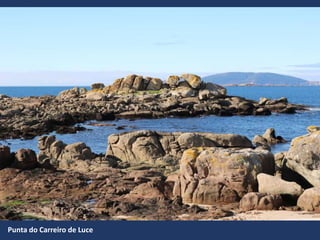 Punta do Carreiro de Luce
 