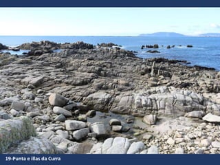 19-Punta e illas da Curra
 