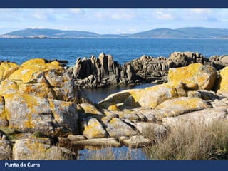 Punta da Curra
 