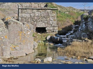 Rego dos Muíños
 