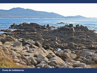 Punta de Caldebarcos
 