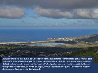 A praia de Carnota e as dunas de Caldebarcos forman un sistema de marismas e dunas fixadas pola
vexetación separadas do mar por un grande areal de máis de 7 km de lonxitude (o máis grande de
Galiza). Nelas desembocan os ríos Valdebois e Pedrafigueira. A zona de marismas está dividida en
dúas partes: Caldebarcos, ao Norte e A Lagoa, ao Sur, separadas pola punta Larada entre as praias
de Carnota e Caldebarcos ou San Mamede.
 