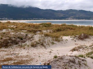 Dunas de Caldebarcos coa praia de Carnota ao fondo
 