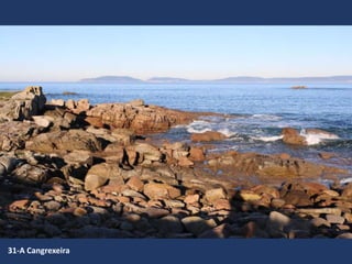 31-A Cangrexeira
 