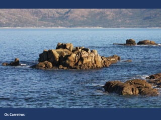 Os Carreiros
 