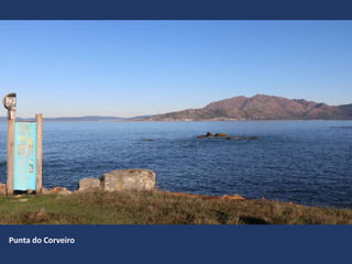 Punta do Corveiro
 