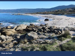 Praia de Cons
 