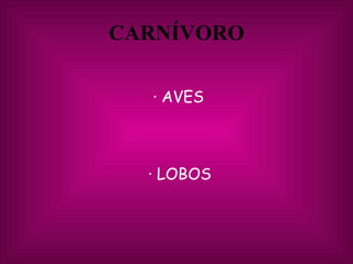 CARNÍVORO ,[object Object],[object Object]