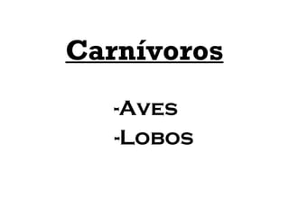 Carnívoros -Aves -Lobos 