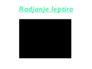 Radjanje leptira
 