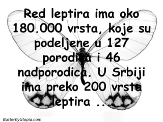 Red leptira ima oko
180.000 vrsta, koje su
    podeljene u 127
      porodica i 46
 nadporodica. U Srbiji
  ima preko 200 vrsta
       leptira ...
 