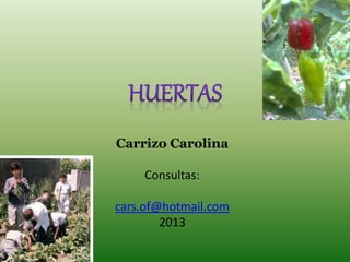 Carrizo Carolina
Consultas:
cars.of@hotmail.com
2013
 