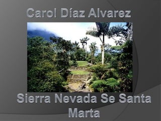 Carol Díaz Alvarez Sierra Nevada Se Santa Marta 