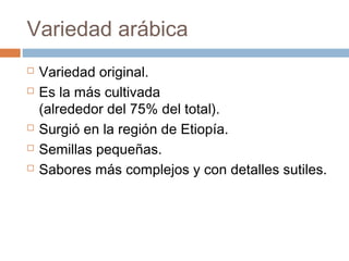 Variedad arábica
   Variedad original.
   Es la más cultivada
    (alrededor del 75% del total).
   Surgió en la región de Etiopía.
   Semillas pequeñas.
   Sabores más complejos y con detalles sutiles.
 