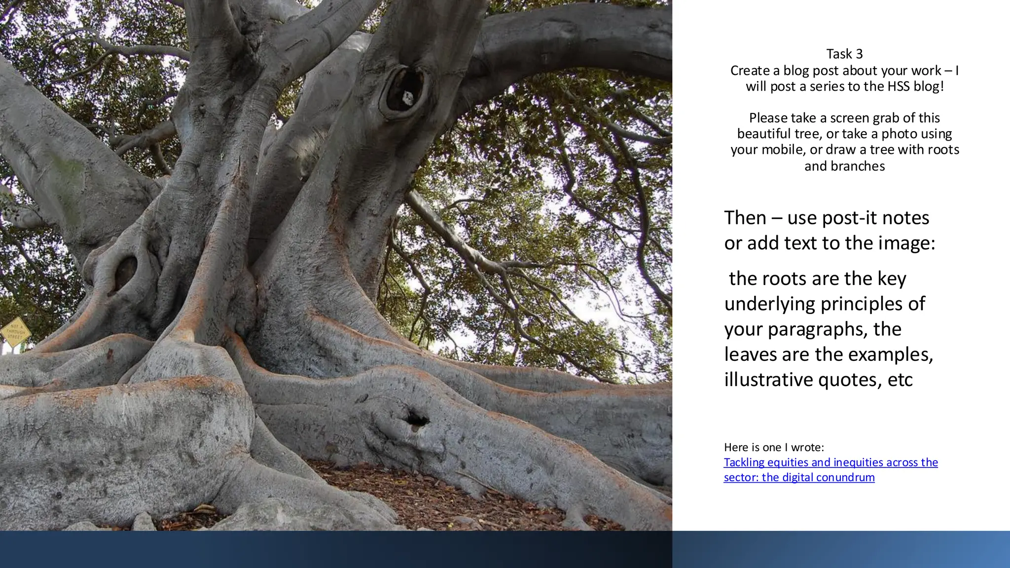 Task 3
Create a blog post about your work – I
will post a series to the HSS blog!
Please take a screen grab of this
beautiful tree, or take a photo using
your mobile, or draw a tree with roots
and branches
Then – use post-it notes
or add text to the image:
the roots are the key
underlying principles of
your paragraphs, the
leaves are the examples,
illustrative quotes, etc
Here is one I wrote:
Tackling equities and inequities across the
sector: the digital conundrum
 