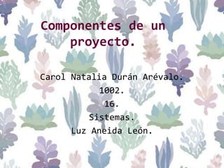 Componentes de un
proyecto.
Carol Natalia Durán Arévalo.
1002.
16.
Sistemas.
Luz Aneida León.
 