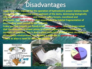 Large reservoirs required for the operation of hydroelectric power stations result
in submersion of extensive areas upstream of the dams, destroying biologically
rich and productive lowland and riverine valley forests, marshland and
grasslands. The loss of land is often exacerbated by habitat fragmentation of
surrounding areas caused by the reservoir.[
Lower positive impacts are found in the tropical regions, as it has been noted
that the reservoirs of power plants in tropical regions produce substantial
amounts of methane. This is due to plant material in flooded areas decaying in
an anaerobic environment, and forming a methane, a greenhouse gas.
There is also a need to relocate people.
.

 