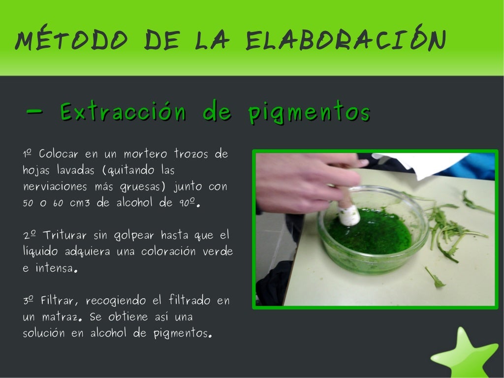 cromatografía pigmentos vegetales