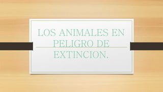LOS ANIMALES EN
PELIGRO DE
EXTINCION.
 