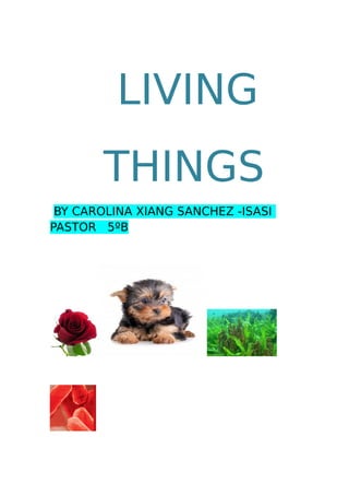 LIVING
THINGS
BY CAROLINA XIANG SANCHEZ -ISASI
PASTOR 5ºB
 