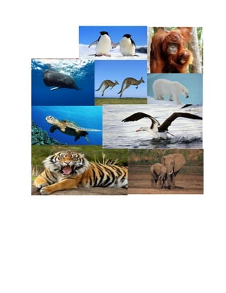 animales en peligro de extincion 