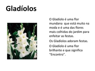 Gladíolos  O Gladíolo é uma flor mundana  que está muito na moda e é uma das flores mais colhidas do jardim para enfeitar as festas. Os Gladíolos adoram festas. O Gladíolo é uma flor brilhante e que significa “Encontro”. 
