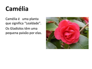 Camélia Camélia é  uma planta que significa “Lealdade”. Os Gladíolos têm uma pequena paixão por elas. 