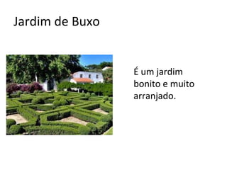 Jardim de Buxo É um jardim  bonito e muito arranjado. 