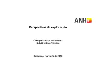 Perspectivas de exploración



   Carolynna Arce Hernández
        y
     Subdirectora Técnica




   Cartagena, marzo 26 de 2010
 