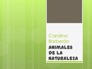 Carolina
Barberàn
Animales
de la
naturaleza
 