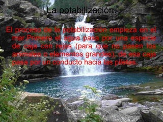 La potabilización. El proceso de la potabilización empieza en el mar.Primero el agua pasa por una especie de caja con rejas (para que no pasen los animales o elementos grandes), de esa caja pasa por un conducto hacia las piletas. 