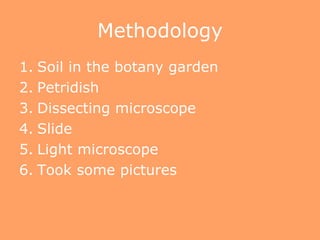 Methodology
1. Soil in the botany garden
2. Petridish
3. Dissecting microscope
4. Slide
5. Light microscope
6. Took some pictures
 