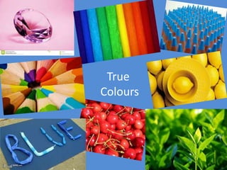 True
Colours
 