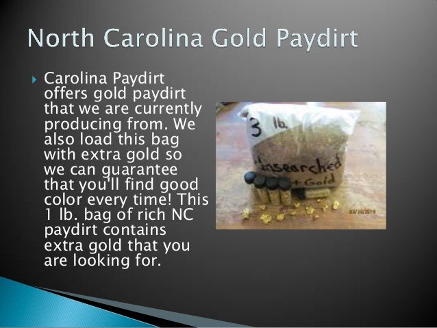 carolina paydirt