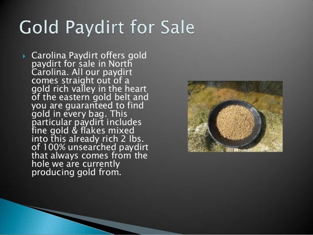 carolina paydirt
