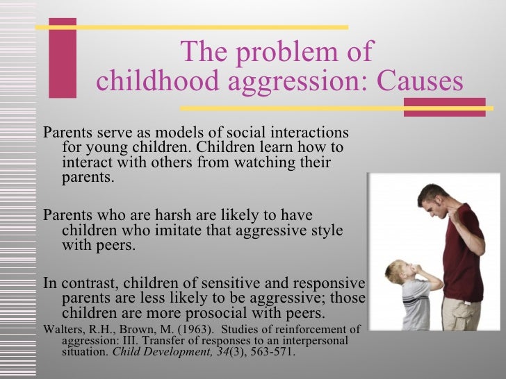 Parenting and Children’s Aggression The Role of Self