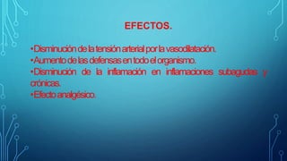 EFECTOS.
•Disminucióndelatensiónarterialporlavasodilatación.
•Aumentodelasdefensasentodoelorganismo.
•Disminución de la inflamación en inflamaciones subagudas y
crónicas.
•Efectoanalgésico.
 