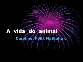 A  vida  do  animal Caroline  Felix Nathalia c  