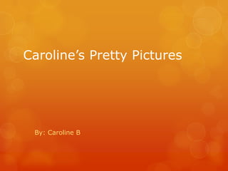 Caroline’s Pretty Pictures




 By: Caroline B
 
